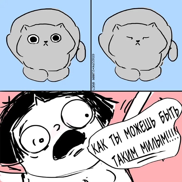 10. Любое их действие вызывает у вас приступ любви и обожания