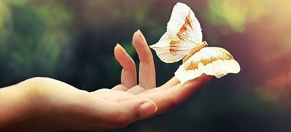 В вас 50% хорошего и 50% плохого!