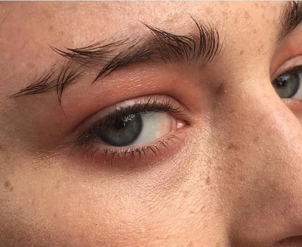 12. В конце апреля появились брови в виде птичьего крыла