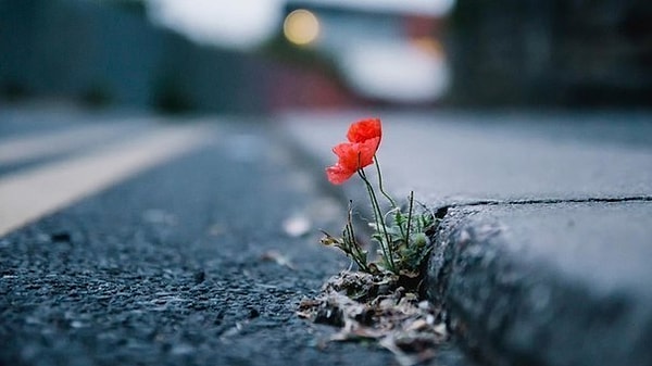 5. Вы верите в судьбу?