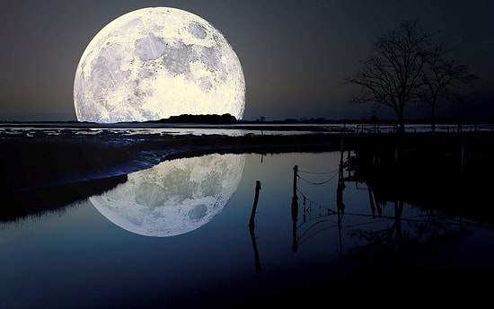 Космическое чудо: как Суперлуна освещала небо в разных странах и городах мира