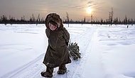 17 лучших снимков фотоконкурса "Siena International Photo Awards 2017", способных заглянуть в тайные уголки души