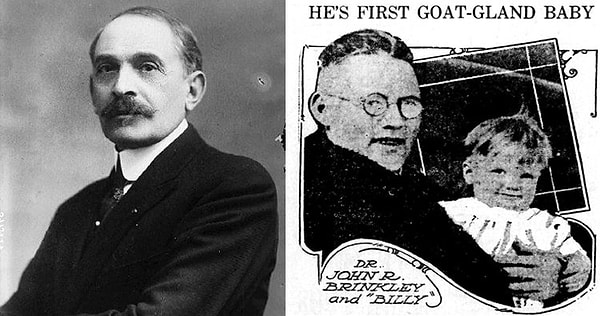 2. Яички козлов как средство от импотенции