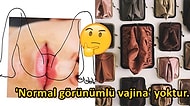 Yokmuş Gibi veya Bilmiyormuş Gibi Davrandığımız 'Vajina' Hakkında Bilinmesi Gereken 17 Gerçek