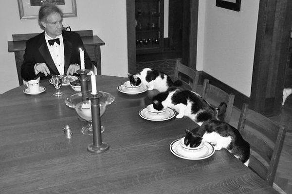 1. 'Eşim şehir dışına çıktığında canım sıkılıyor. 6 günlük yokluğunda 'Kedilerle muntazam bir yemek yiyeceğim.' diye şaka yaptım. Bir süre bununla ilgili düşündüm bir de.'