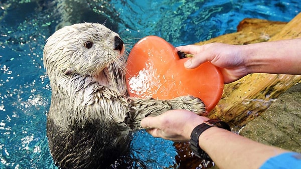 3. Выберите вариант ответа, который подходит вам больше остальных: