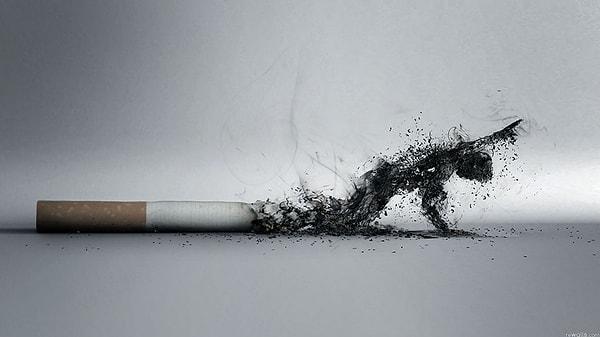 13. Kırkından önce sigarayı bırakan insanlar, istatistiksel olarak hiç içmeyen insanlar kadar yaşıyor.