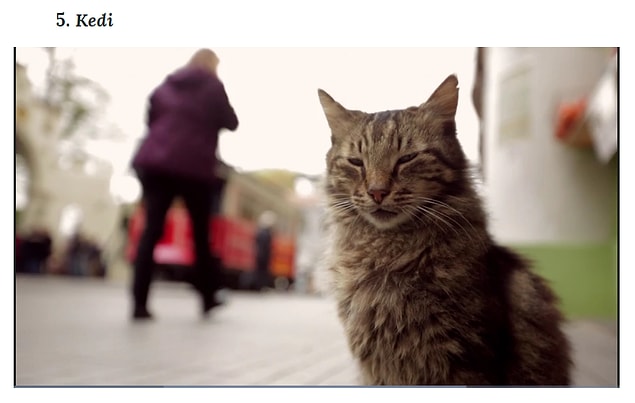 2. Bu yılın en çok ses getiren belgesellerinden olmuştu Ceyda Torun'un "Kedi" belgeseli. Belgesel, Time'ın "2017'nin En İyi Filmleri" listesine de girdi, üstelik 5. sıradan.