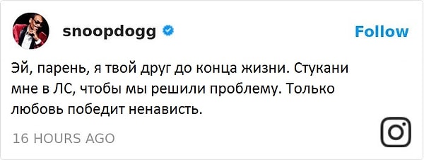 Снуп Догг, рэпер: