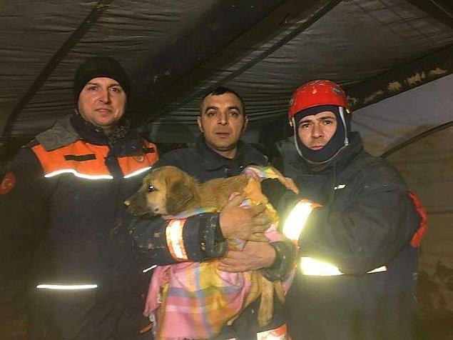 Son olarak en tatlı anı hatırlatalım😍 Beykoz'da 70 metrelik kuyuya düşen köpek, ekiplerin yılmadan çalışmasıyla 12. günde kurtarıldı. Her şeyi canlı canlı izlerken gözyaşlarımızı tutamadık. Ve artık bir adı var: Kuyu Köpek ❤️
