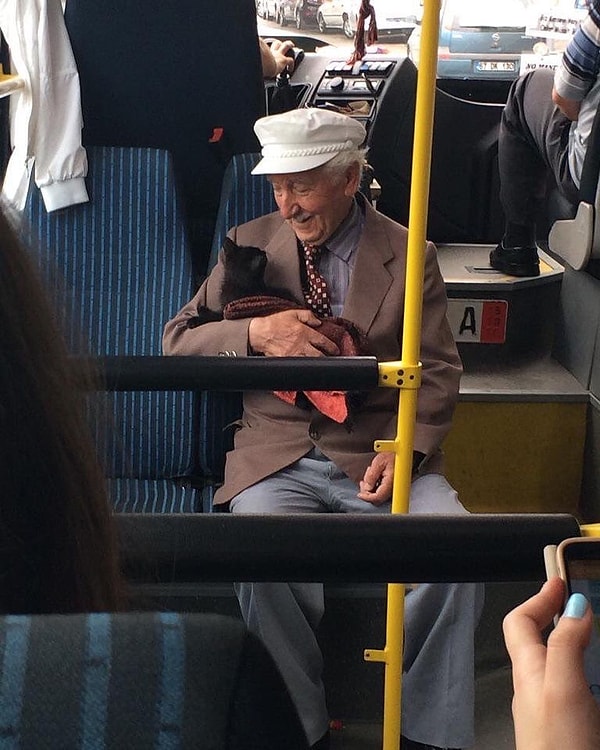 5. "Приехали? Долго еще?" 😻