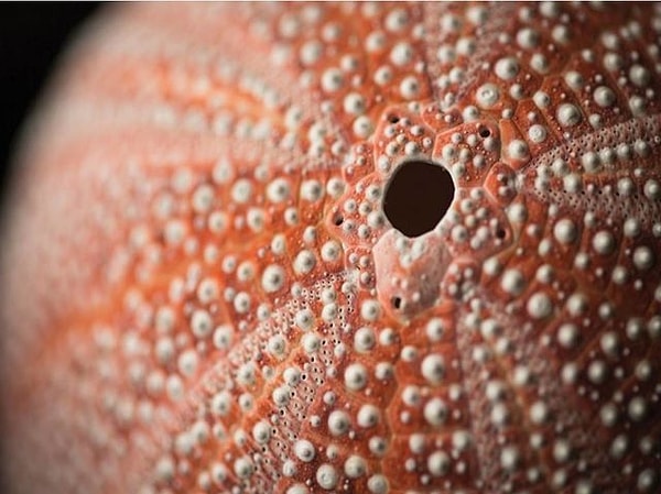 5. И это угадаете?