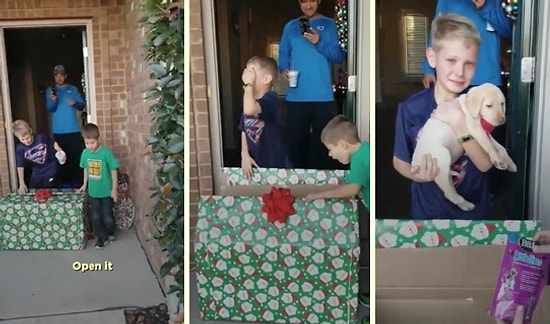 Köpeği Hayatını Kaybettikten Sonra Yeni Bir Yavruya Kavuşan Çocuğun Aşırı Duygusal Anları