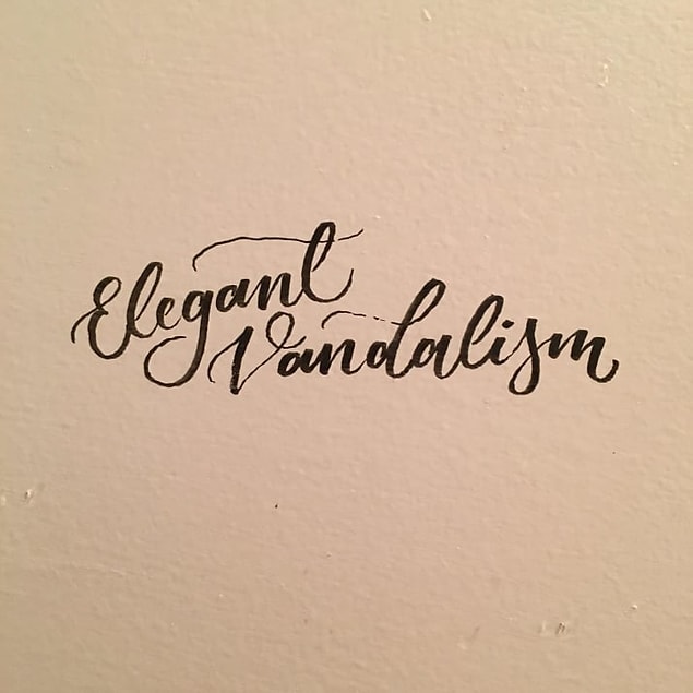 12. Böyle vandalizme can kurban.