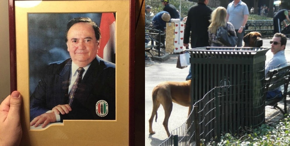 20 уморительных фото, которые сделают ваш день