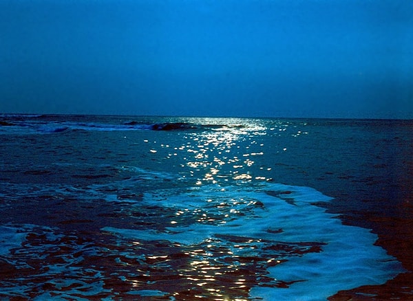 3. Саргассово море назвали в честь...