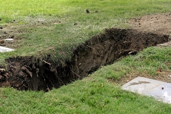 2. Некрофилия