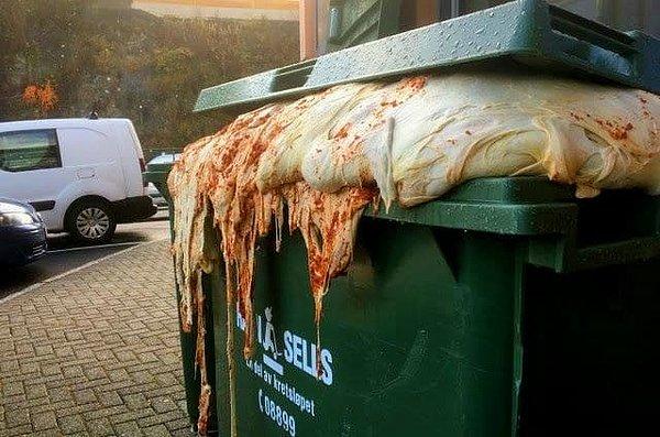 3. Çöp konteynırında kabarmaya devam eden pizza hamuru 😱