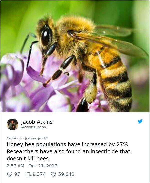 "Bal arısı nüfusu %27 artış gösterdi. Araştırmacılar aynı zamanda arıları öldürmeyen bir böcek ilacı yarattı."