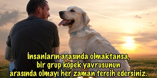 Çünkü Kusursuz Arkadaşlar! Hayvanları İnsanlardan Daha Çok Seven Kişilerin Çok İyi Bildiği 20 Gerçek