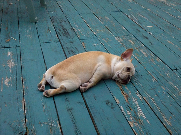 7. "А я говорил им, чтоб больше не наливали..."