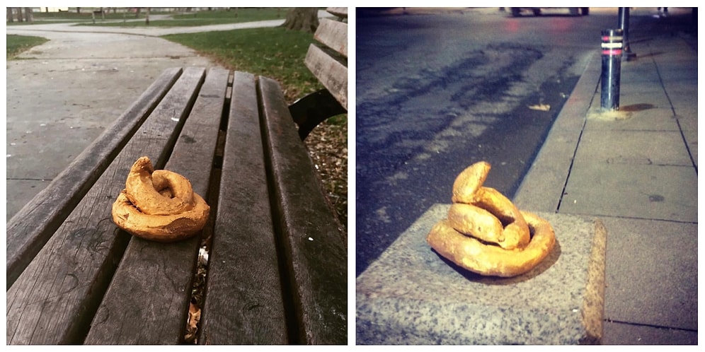 Sokak Hayvanlarına Yapılan Şiddete Dikkat Çekmek İçin Başlatılan Muhteşem Proje!