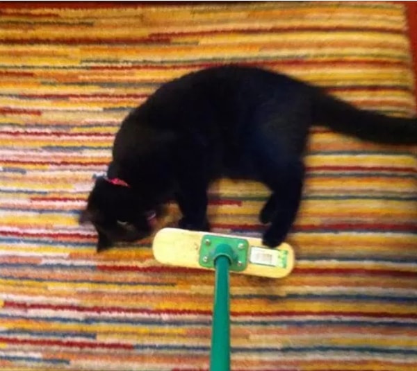 19. А помните игры со швабрами во время уборки? 😅