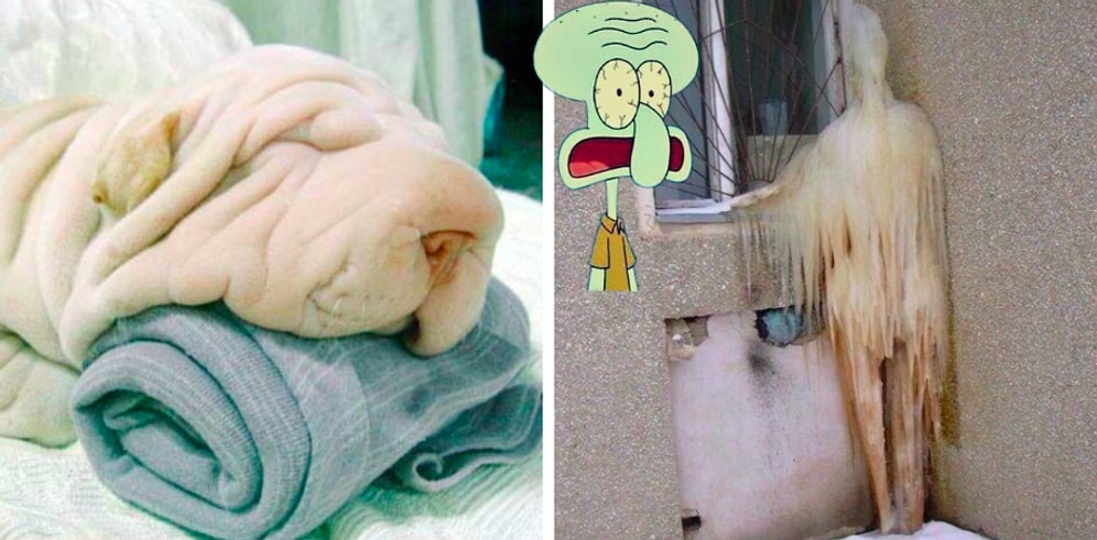 А нет, показалось! 13 моментов, когда за обычными вещами кроется кое-что странное