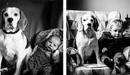 Словно кадры из фильма: Отец в течение трех лет фотографирует сына и домашнего пса в одном кресле! 😍