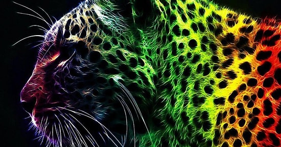 Экспресс-тест на восприятие цветов. Готовы услышать правду о вашей личности?