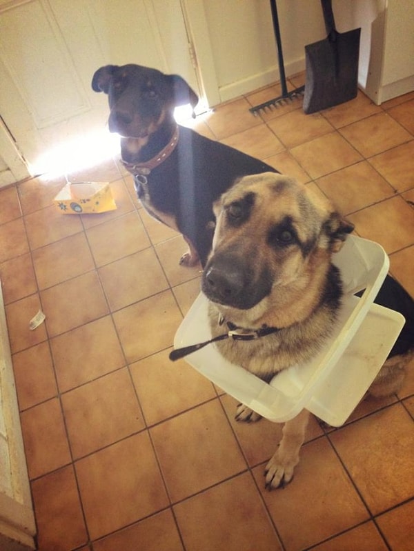 5. Что? Кто-то лазил в мусорной корзине? Нет, нет, не знаююю ... 😌