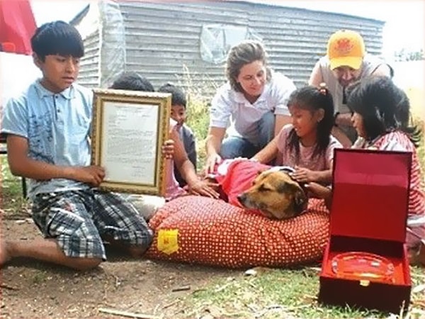 10. Материнская любовь