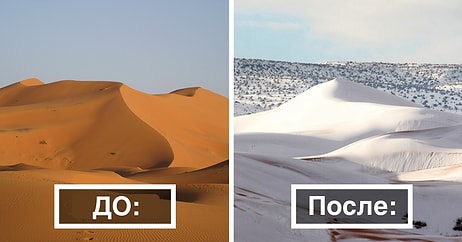 Верблюды в шоке: Третий раз за 40 лет в пустыне Сахара выпадает снег!