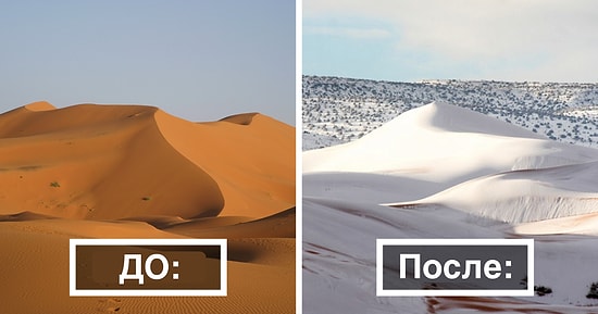 Верблюды в шоке: Третий раз за 40 лет в пустыне Сахара выпадает снег!