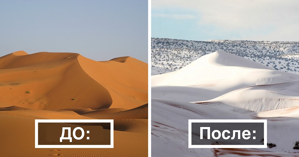 Верблюды в шоке: Третий раз за 40 лет в пустыне Сахара выпадает снег!