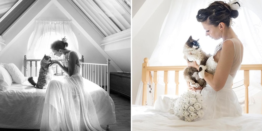 Настолько любить кошек, что не забыть о них в день собственной свадьбы: Фото, обязательные к просмотру!
