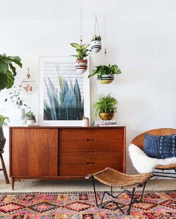 3. Вдохновитесь силой природы с множеством растений и горшков!