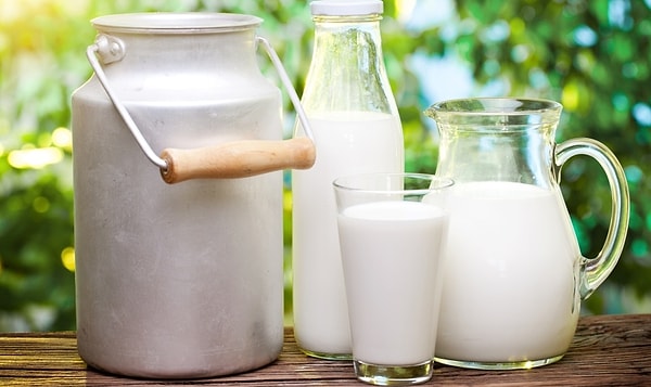 2. Молоко и йогурт