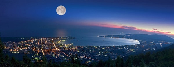 6. Кто написал "Лунную сонату"?