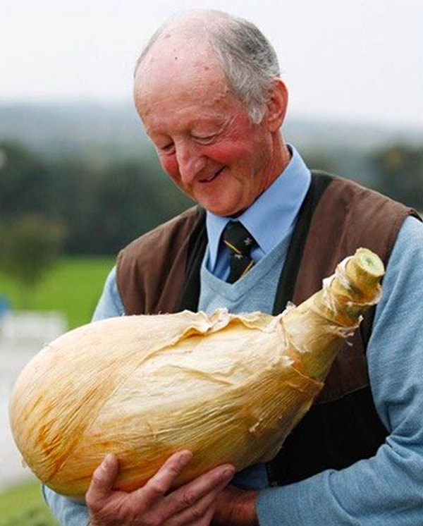 15. Питер Глазебрук