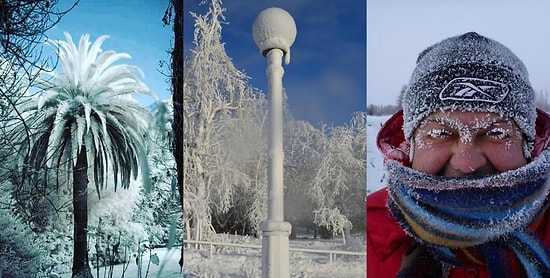 12 доказательств, что зима 2018 потеряла последнюю совесть