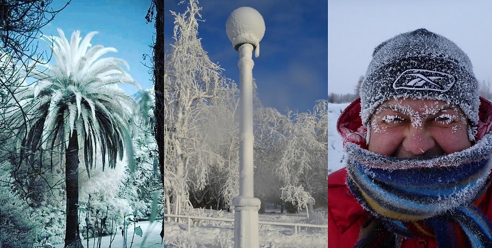 12 доказательств, что зима 2018 потеряла последнюю совесть
