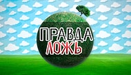 У вас блестящая интуиция, если вы сможете пройти этот тест "Правда или Миф" без ошибок