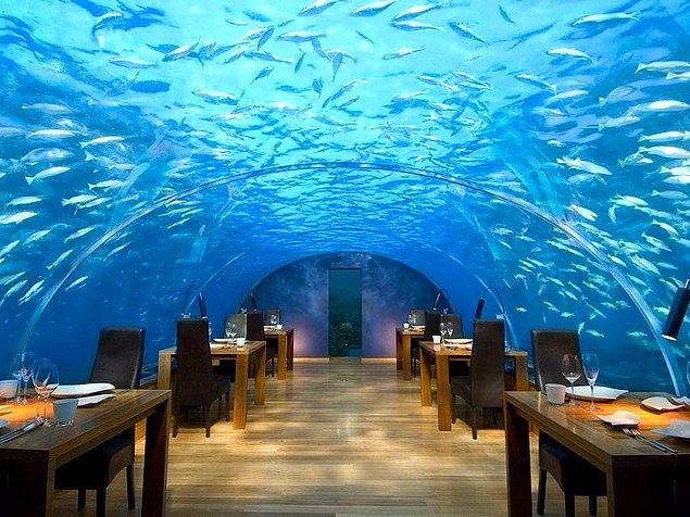 16. Ithaa Undersea Restaurant, Alifu Dhaalu Atoll, Maldivler