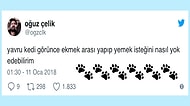 Aşırı Ponçiklik İçerir! Kediseverlerin İçini Pati Gibi Yumuş Yumuş Edecek 15 Eğlenceli Paylaşım
