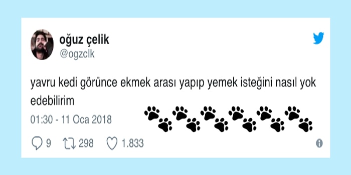 Aşırı Ponçiklik İçerir! Kediseverlerin İçini Pati Gibi Yumuş Yumuş Edecek 15 Eğlenceli Paylaşım