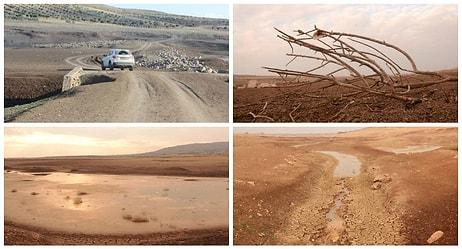 Barajlar Kurudu, Göller Çekildi, Antep Fıstığı Yok Oluyor: Güneydoğu Anadolu Son 44 Yılın En Kurak Kışını Yaşıyor