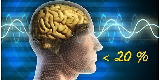 Только 20% носителей русского языка смогут правильно назвать род этих 10 существительных. А вы сможете?