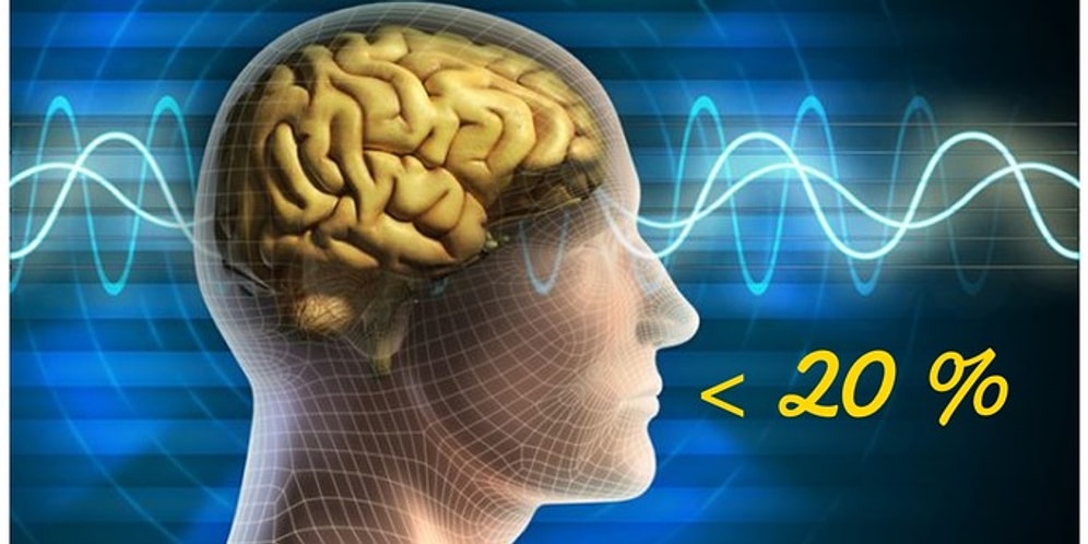 Только 20% носителей русского языка смогут правильно назвать род этих 10 существительных. А вы сможете?