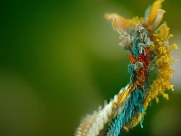 14. Что вы испытываете, глядя на эту картинку?